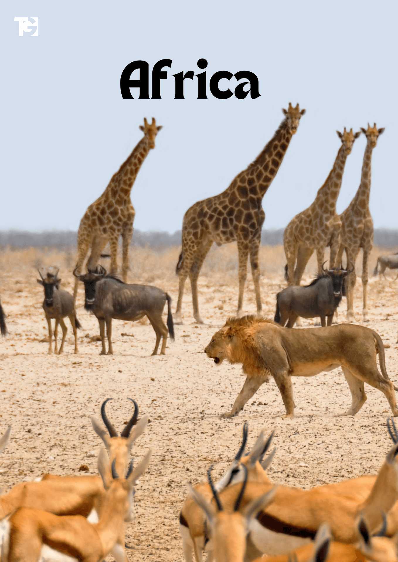 Africa