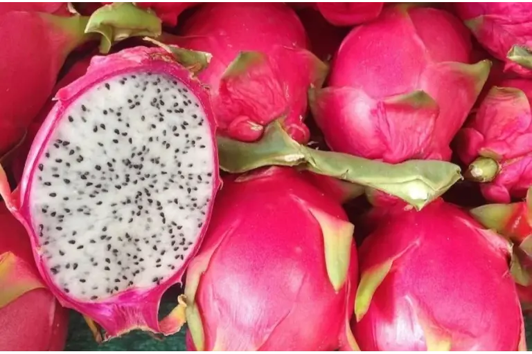 Dragon Fruit 768x505