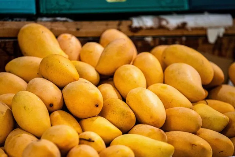 Mango