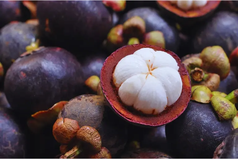 Mangosteen